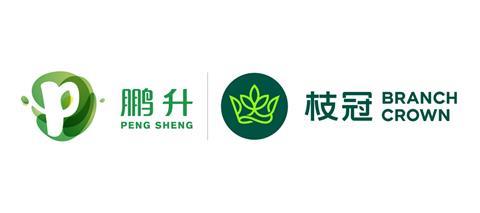 Pengsheng