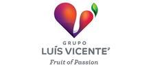 luis vicente