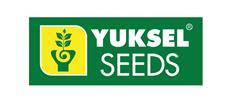 yuksel seeds