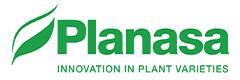 planasa