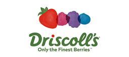 Driscolls