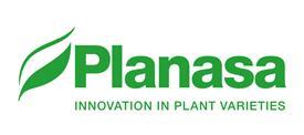 Planasa-web