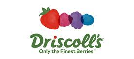 Driscolls-web