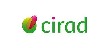 Cirad-web