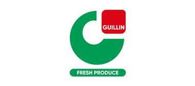 Guillin-web