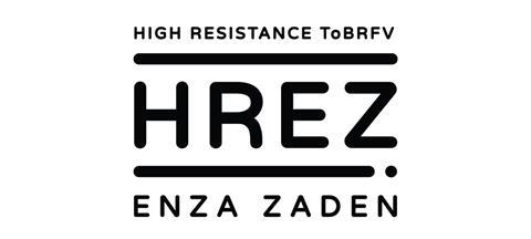 Enza Zaden