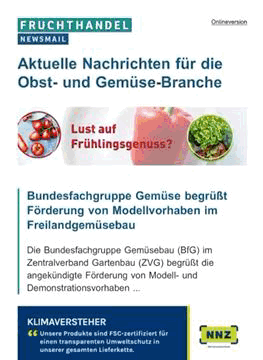 Newsmail-Beispiel