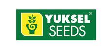 Yuksel seeds